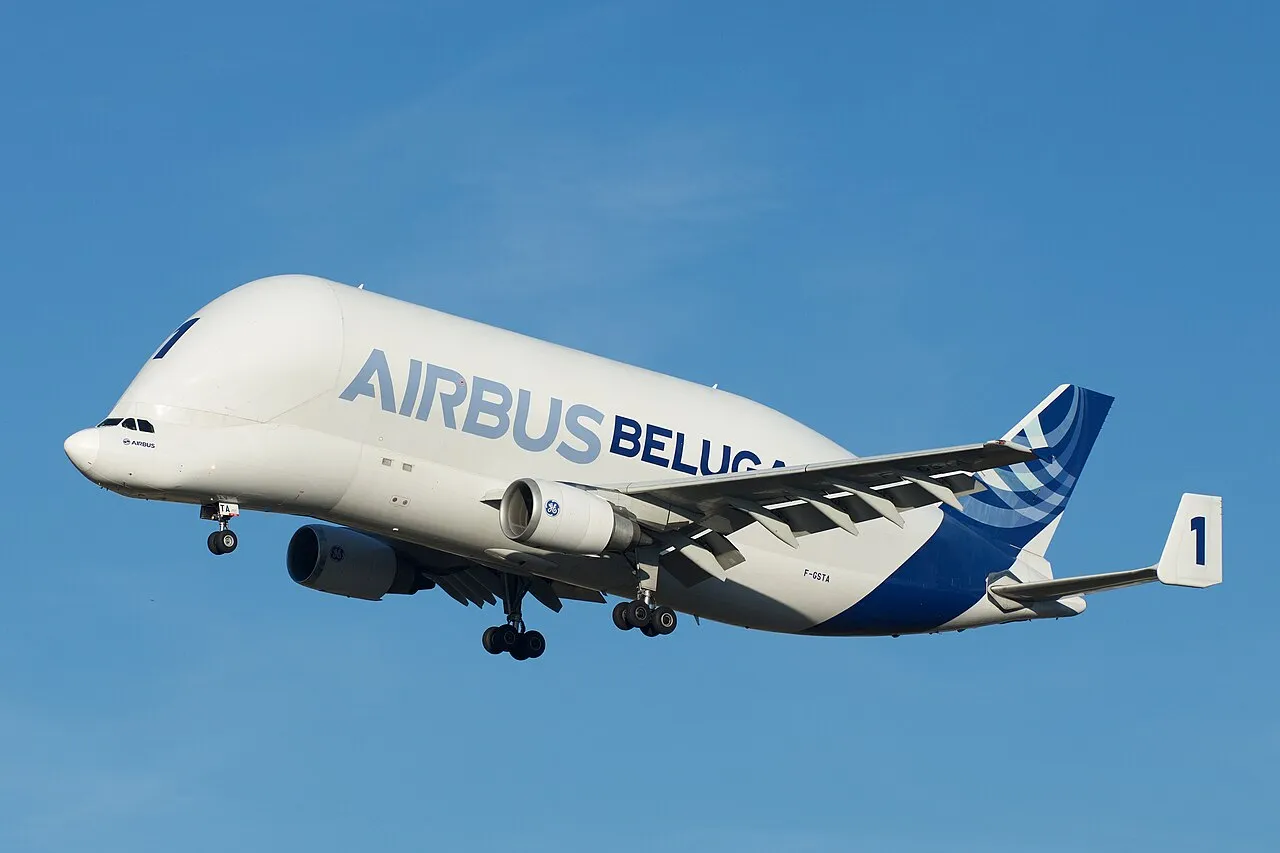 An Airbus Beluga transporter on approach to land, its bulging whale-shaped upper fuselage visible from the side.
