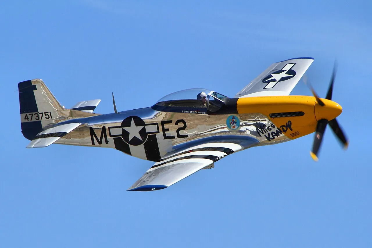 A North American P-51 Mustang warbird banking in flight at the Chino Airshow.